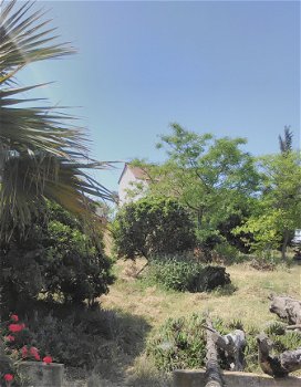 Rural Retreat.Algarve.140.000€ - 5