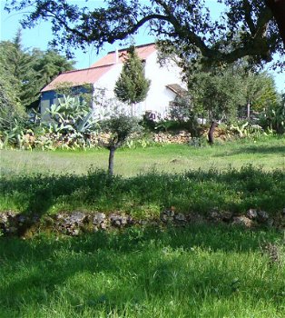 Rural Retreat.Algarve.140.000€ - 8