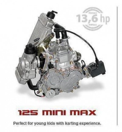 Rotax Max reparatie volgens afspraak - Afbeelding 2
