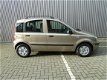 Fiat Panda - 1.2 Dynamic Automaat - 1 - Thumbnail