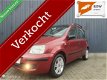 Fiat Panda - 1.2 Emotion NW APK NAP Dealeronderh Panorama - 1 - Thumbnail