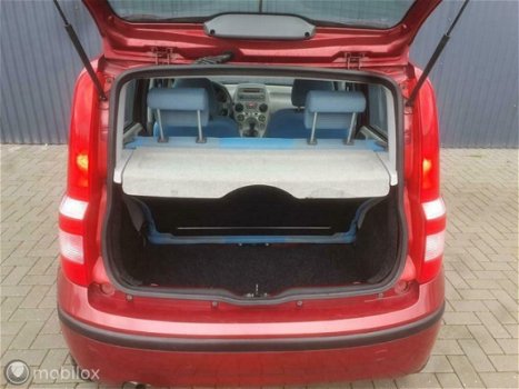 Fiat Panda - 1.2 Emotion NW APK NAP Dealeronderh Panorama - 1