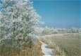 Winterdag Rob Chrispijn - 1 - Thumbnail