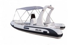 Belua 560