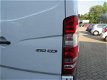 Mercedes-Benz Sprinter - 210 2.2 CDI 366 HD /CRUISCONT/AIRCO/AUTOMAAT - 1 - Thumbnail