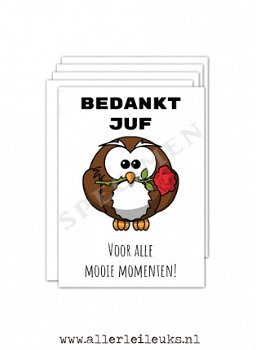 Cadeaukaartjes bedankt juf uiltje A7 - 50 stuks gratis verzenden - 1