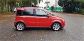 Fiat Panda - 1.4 100HP Sport - 1 - Thumbnail