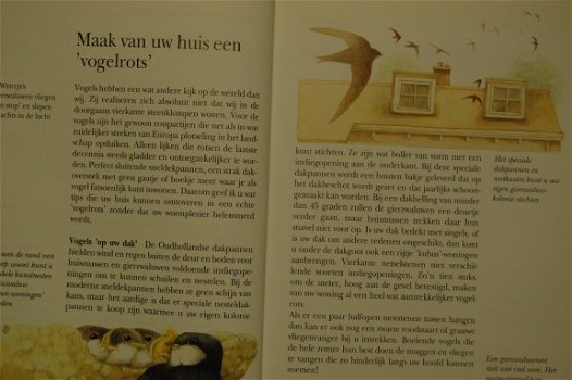 Bastin: Maak van uw tuin een vogelparadijs - 2