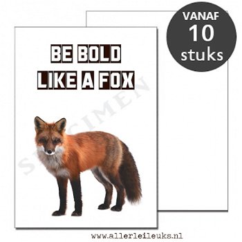 Foto kaarten be a fox A6- 10 stuks allerleileuks groothandel - 1