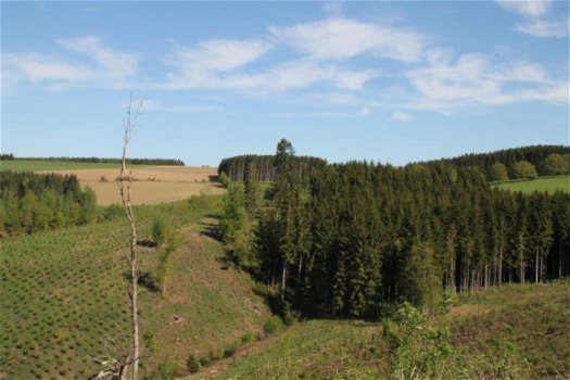 6830 BOUILLON : grond van 1ha03ca50ca, gelegen in woongebied, prachtig zicht. - 1