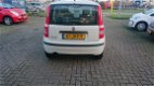 Fiat Panda - 1.2 Edizione Cool - 1 - Thumbnail