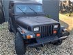 Jeep Wrangler - 4.0i -GRIJS KENTEKEN-BEDRIJFSWAGEN - 1 - Thumbnail