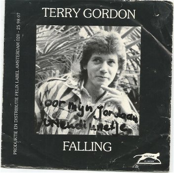 Terry Gordon ‎– Falling (1986) ZELDZAME NEDERPOP - 1