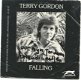 Terry Gordon ‎– Falling (1986) ZELDZAME NEDERPOP - 1 - Thumbnail