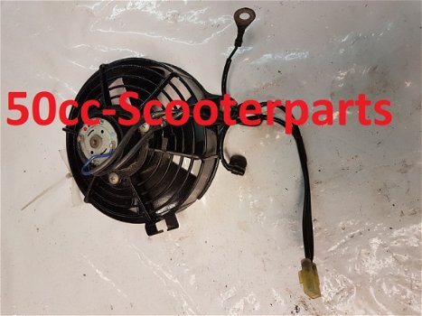 Ventilator Honda Chiocciola Nes 125 Gebruikt 19005-KGF-900 - 1