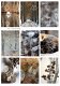 Collage a la Daantje - 1759 - 1 - Thumbnail
