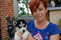 Stamboom Siberische Husky Puppies te koop - 1 - Thumbnail