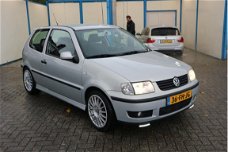 Volkswagen Polo - 1.4 55KW