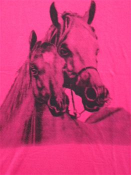 Meisjes BIG SHIRT Paard print ROZE maat 152 - 2