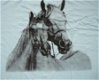 Meisjes BIG SHIRT Paard print BLEU maat 152 - 2 - Thumbnail
