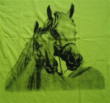 Meisjes BIG SHIRT Paard print LIME maat 176 - 2