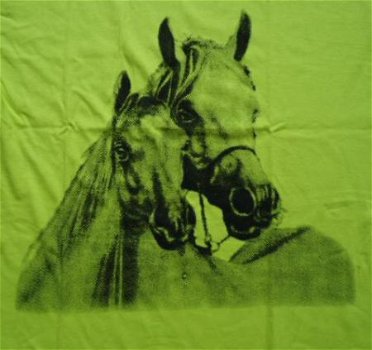 Meisjes BIG SHIRT Paard print LIME maat 128 - 2