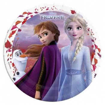 Disney Frozen 2 Feestje - 1
