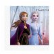 Disney Frozen 2 Feestje - 4 - Thumbnail