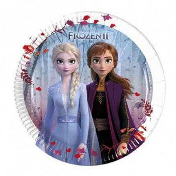 Disney Frozen 2 Feestje - 5