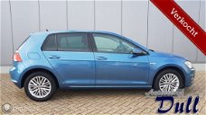 Volkswagen Golf - 1.2 TSI CUP Edition NAVI 81667 KM