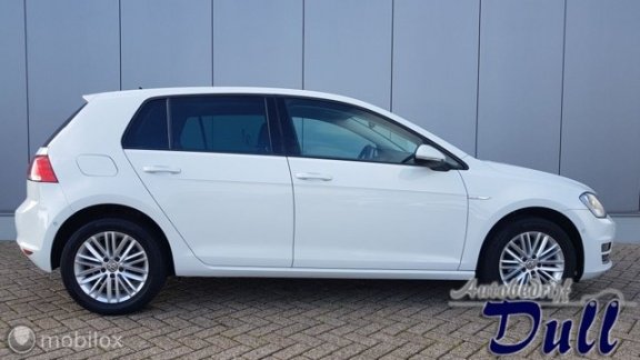 Volkswagen Golf - 1.2 TSI Cup edition NAVI 91663 KM - 1