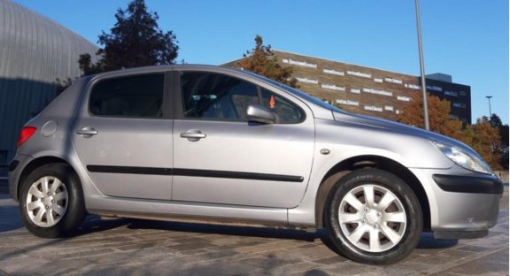 Peugeot 307 - 1.6-16V XS NAP, APK, Climate control, Bluetooth radio/cd, CV met afstandbed, etc - 1