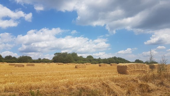 Authentiek en sfeervol vakantiehuis, midden in de natuur - 7