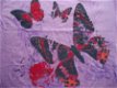 Dames BIG SHIRT Vlinder Lila - 2 - Thumbnail
