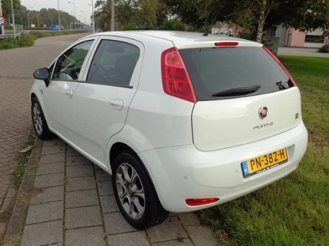 Fiat Punto - TwinAir Turbo 100 Sempre 5-drs NAVI CLIMATE PDC 16