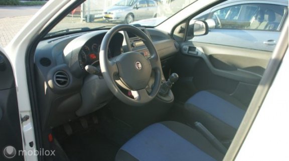 Fiat Panda - 1.2 Edizione Cool - 1