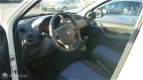 Fiat Panda - 1.2 Edizione Cool - 1 - Thumbnail