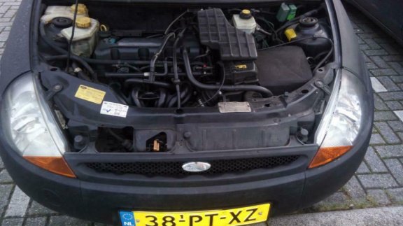 Ford Ka 1.3 bj 2004 APK tot 02-11-2020 - 6