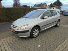 Peugeot 307 - 1.6-16V XS