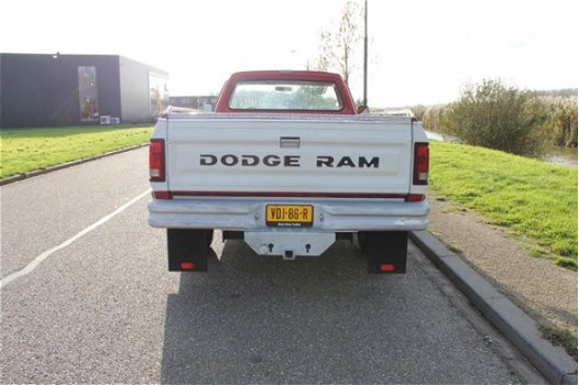 Dodge Ram Pick Up - D250 360 V8 Harde Roestvrije Truck 1986 - 1