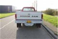 Dodge Ram Pick Up - D250 360 V8 Harde Roestvrije Truck 1986 - 1 - Thumbnail