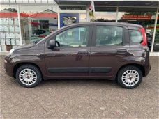 Fiat Panda - 1.2 COLLECTION PANORAMA