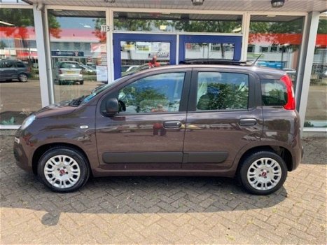 Fiat Panda - 1.2 COLLECTION PANORAMA - 1