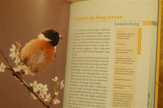 Vogels in hun landschap - 4