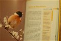 Vogels in hun landschap - 4 - Thumbnail