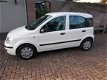 Fiat Panda - 1.2 Edizione Cool bjaar 2009 87 dkm nap nette auto - 1 - Thumbnail