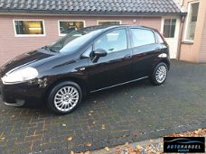 Fiat Punto - 1.2 Pop