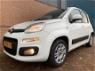 Fiat Panda - 0.9 TwinAir Lounge AUTOMAAT - 1 - Thumbnail