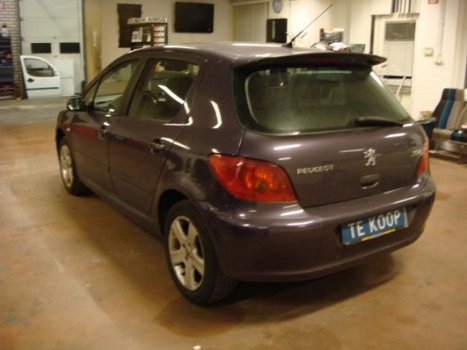 Peugeot 307 - 1.6-16V XSI - 1