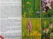 West-Europa's mooiste planten - 2 - Thumbnail
